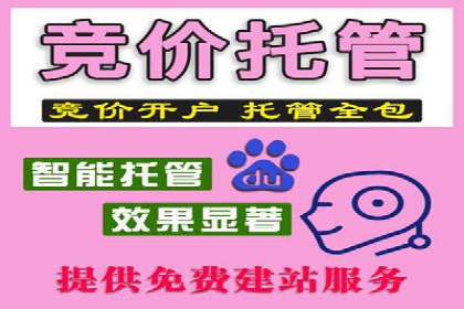 百度SEM代运营案例解读：揭秘行业领先策略